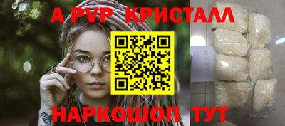 эйфоретик Кингисепп
