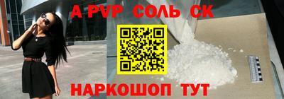 эйфоретик Кингисепп