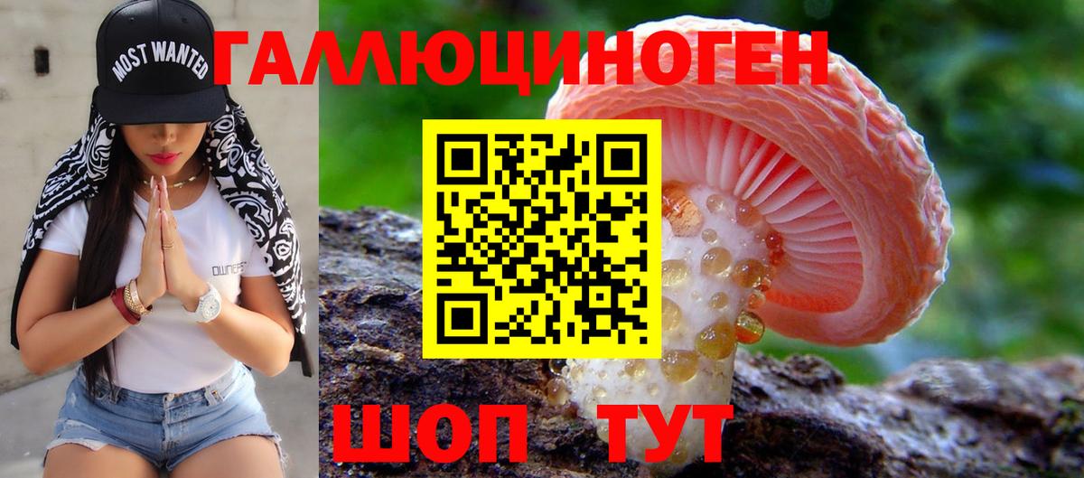 Псилоцибиновые грибы GOLDEN TEACHER Коркино