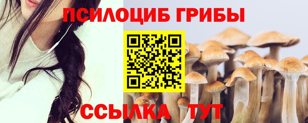 как найти закладки  Вход с VPN  Коркино  Галлюциногенные грибы мухоморы 